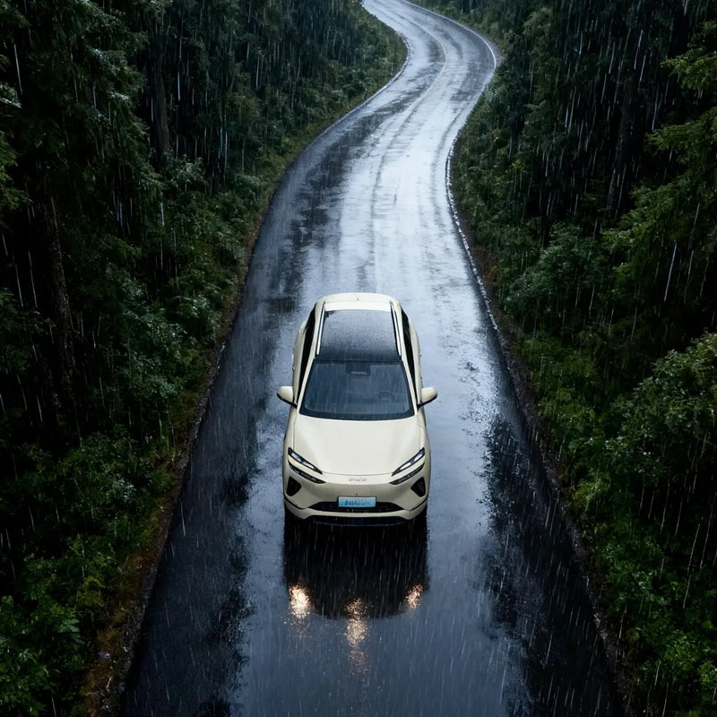 Chinese EVs Dominate Overseas Markets, E-Commerce Orders Surge with Cost-Efficiency Advantage
