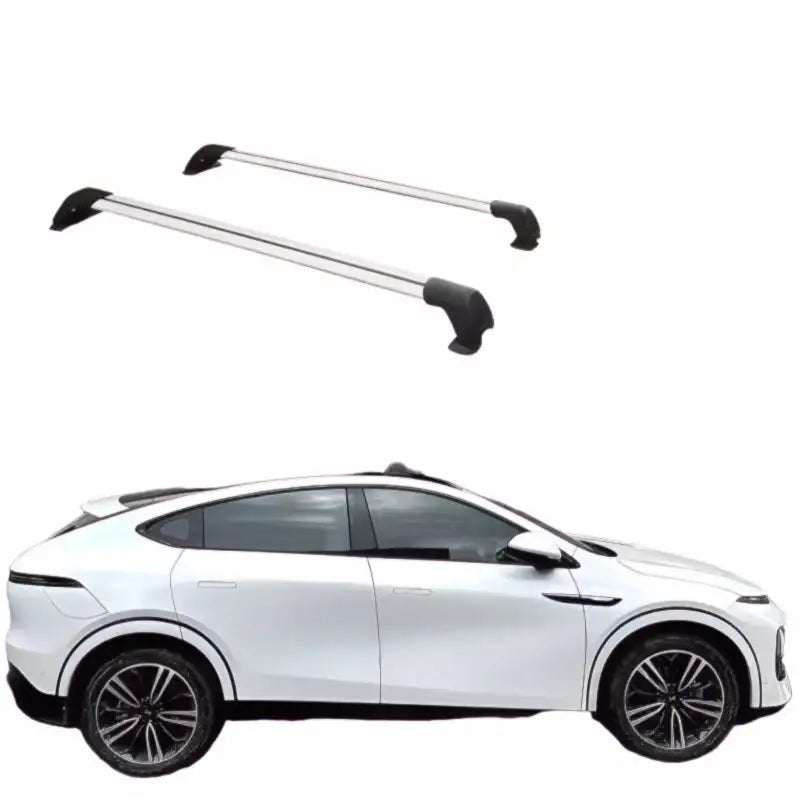 Barre Portapacchi Tetto Auto G6 (Due Barre)