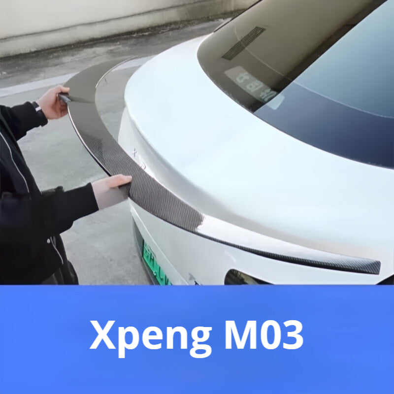 M03 sports wing
