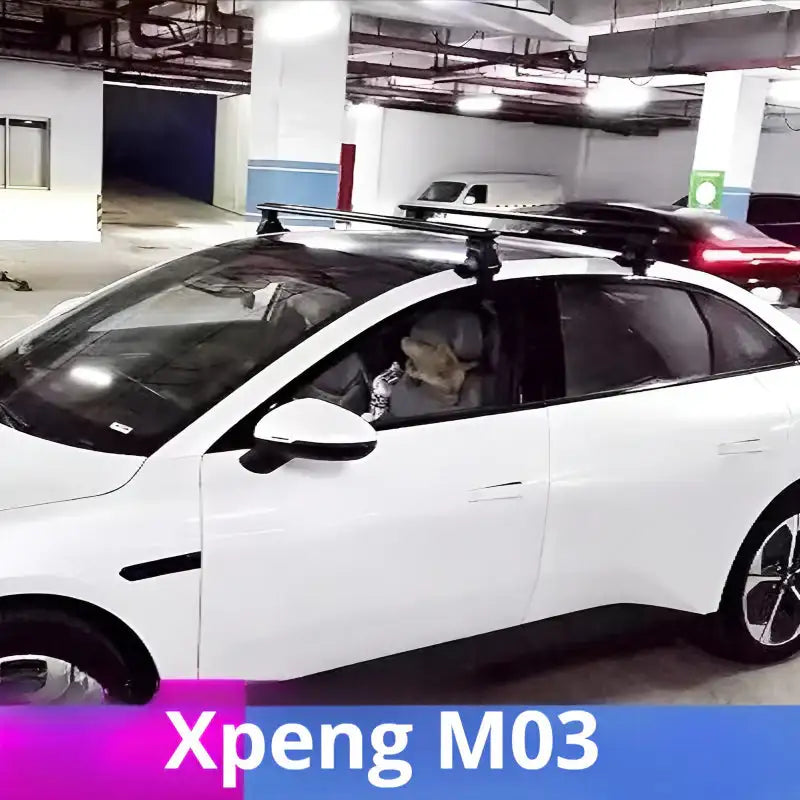 小鵬M03車頂行李架橫桿（兩根）