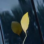XPeng B-pillar Protection Film