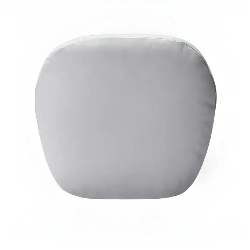 XPeng GX Headrest and Lumbar Support