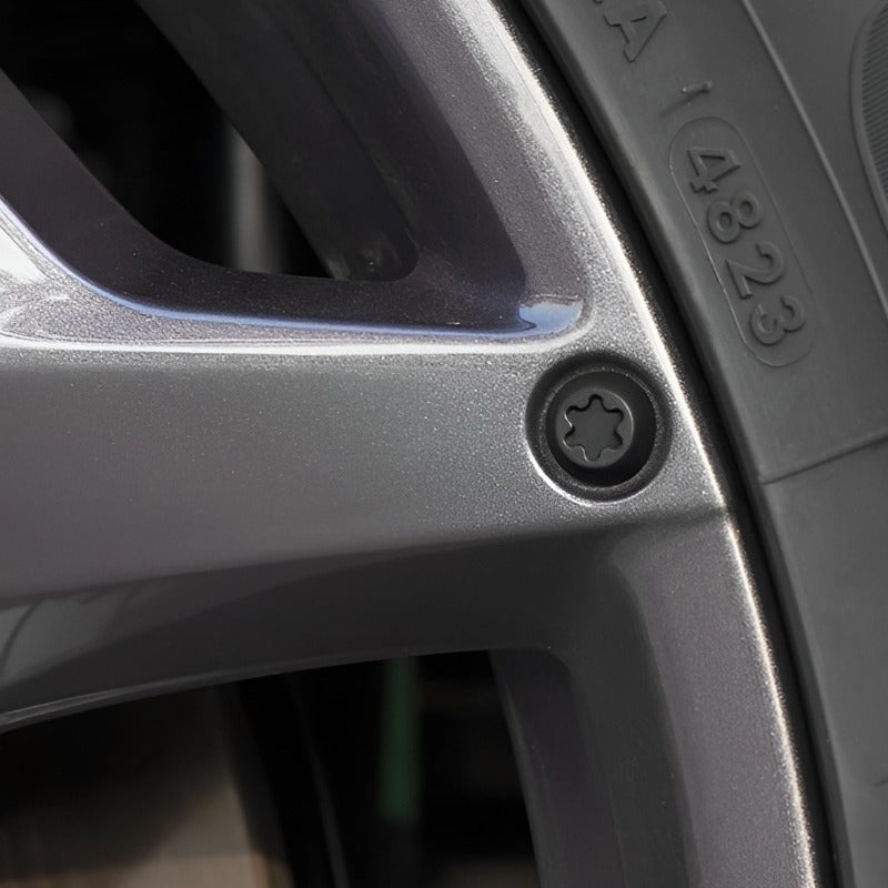 Capuchons de vis de roue et enjoliveurs automobiles pour Chery Jetour T2