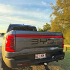 BYD Shark 6 Heckemblem