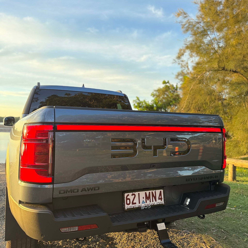 BYD Shark 6 Heckemblem