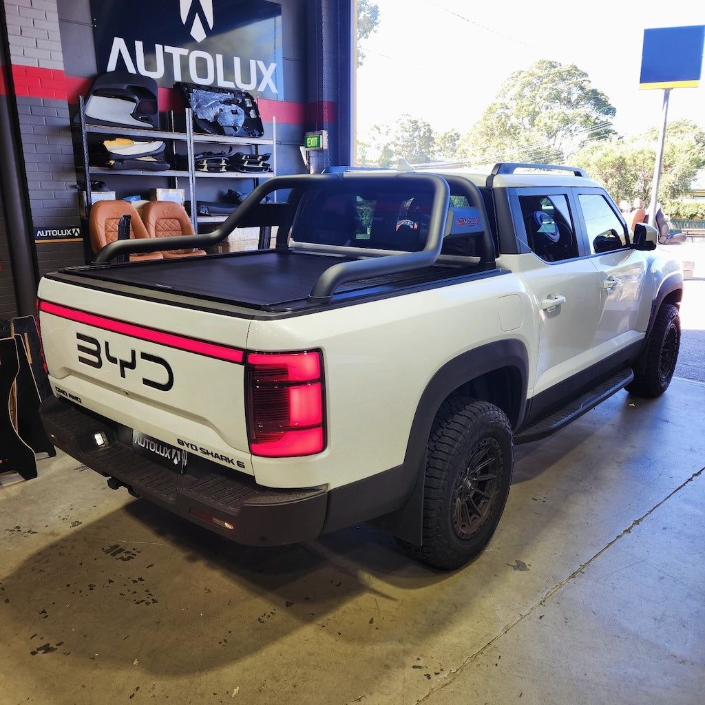 BYD Shark 6 Heckemblem