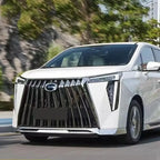 Car Front Center Insect mesh Grille For GAC MOTOR GN8 (GM8)