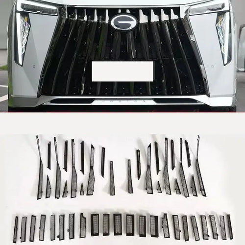 Car Front Center Insect mesh Grille For GAC MOTOR GN8 (GM8) CHERY1