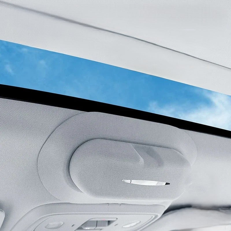 LEAPMOTOR C10 C11 C16 B10 Car Sunglass Holder Visor Storage Case