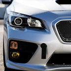 Cinghia di Traino Auto con Rifinitura Decorativa