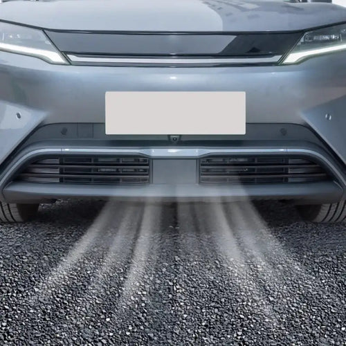 Защитная сетка для решетки радиатора BYD Atto 2