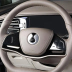 Black Badge for Denza B5