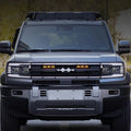 Grille Light for Denza B5 BYD1