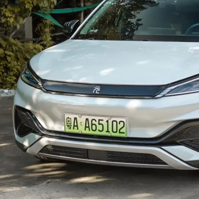 Grille Proof Net for BYD Atto 3 BYD4
