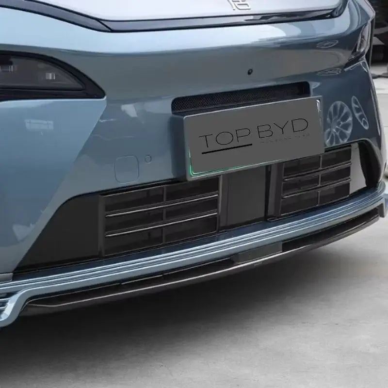 Grille Proof Net for BYD Sealion 8/Atto 8 BYD2