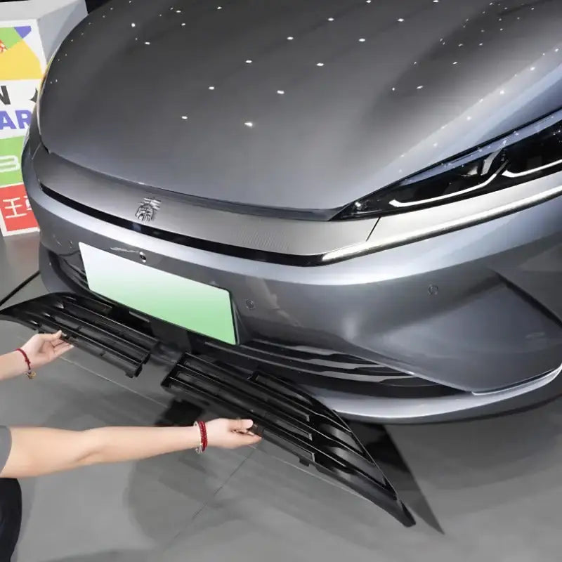 Grille Proof Net for BYD Seal 6 BYD1