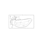 Taillight Assembly-Peripheral for MG HS MG4