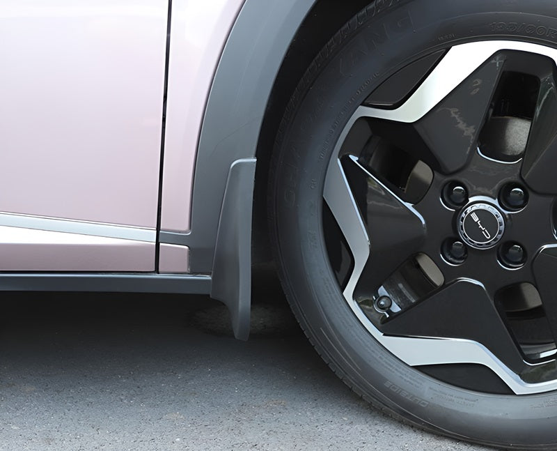 Palas de Lama para BYD Dolphins