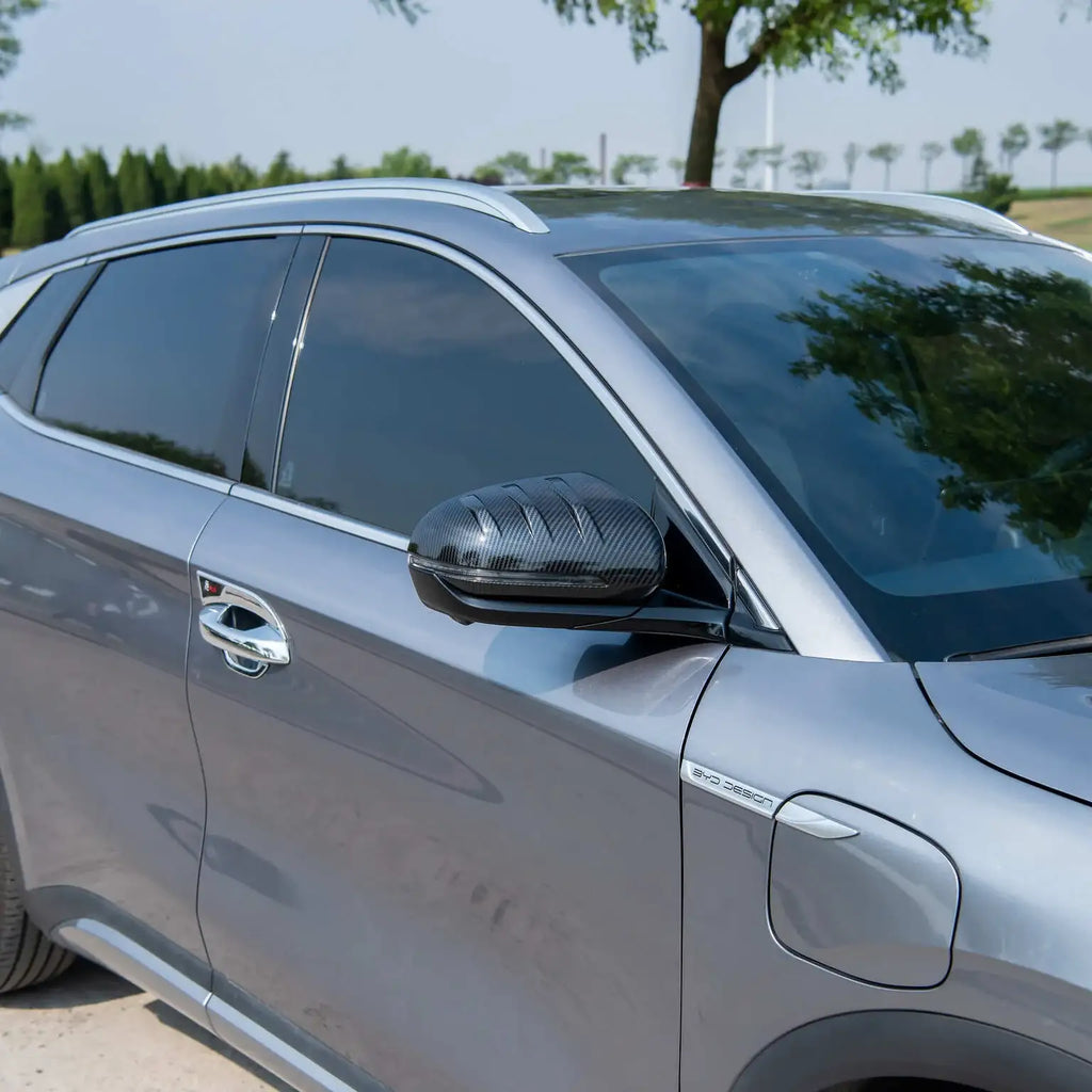 Outside Mirrors Cap for BYD Atto 3 & Sealion 6/Seal U BYD15