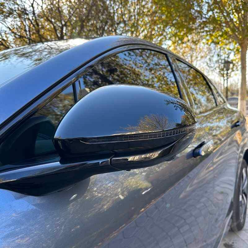 Side Mirror Cover for BYD Sealion 7 BYD16