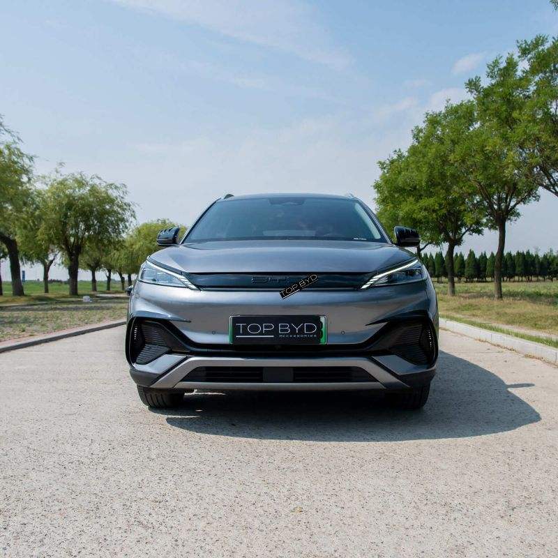Styling Grille Slat for BYD Atto 3 BYD4