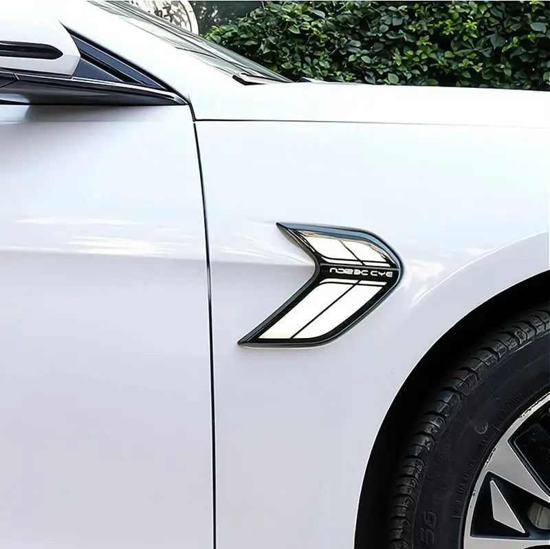 Wing Turn Signal for BYD Seal BYD11