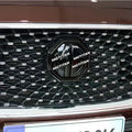 Car Rear Logo Front Grille Steering Wheel Badge Decal MG1